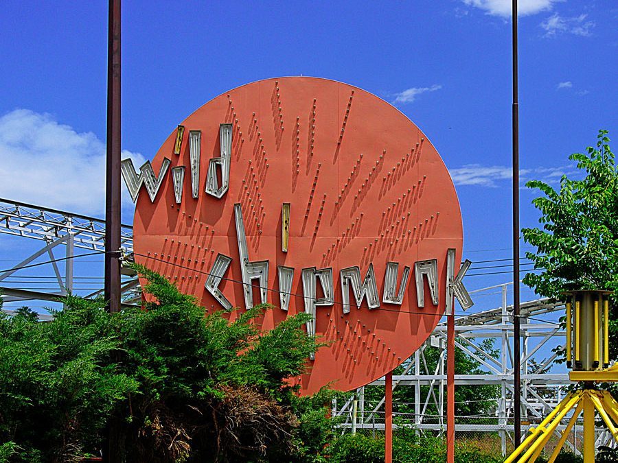 Wild Chipmunk Sign from Lakeside